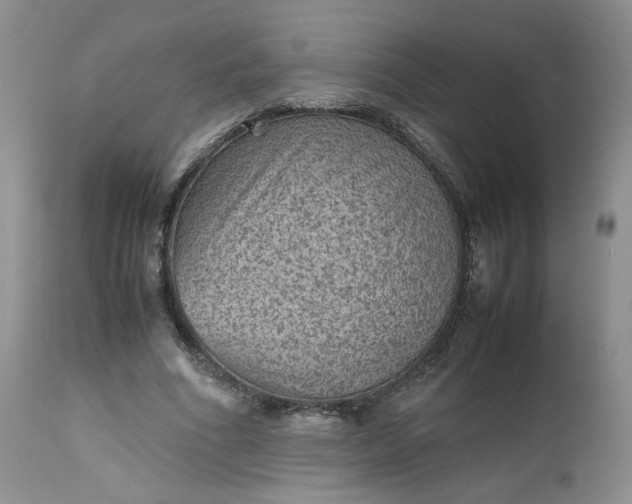 X0000112510586200908311335