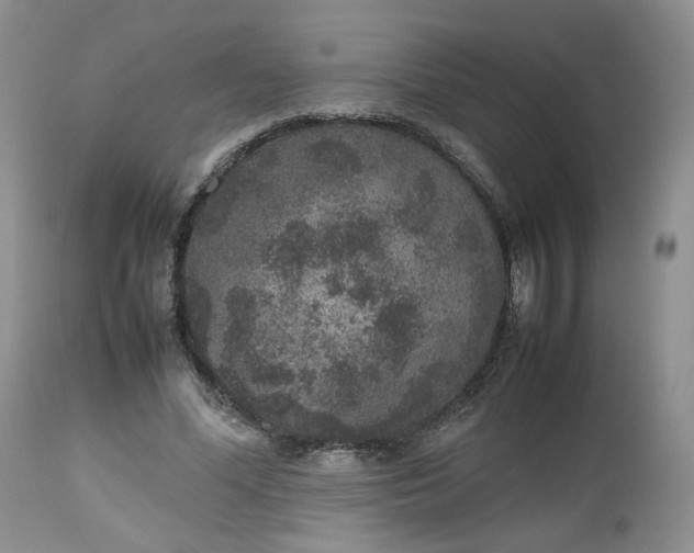 X0000112510588200908311334