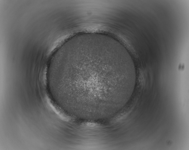 X0000112510590200908311334