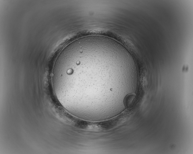 X0000112510591200908311334