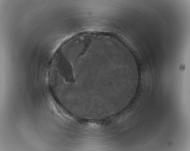 X0000112510592200908311334