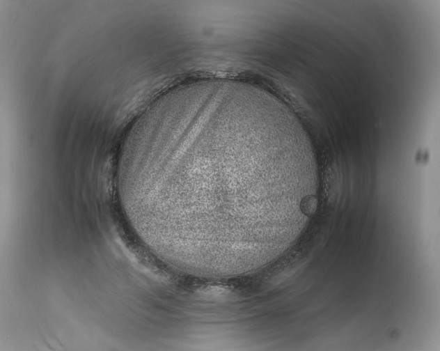 X0000112510594200908311334