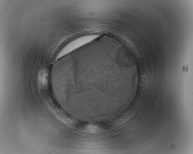 X0000112510596200908311334