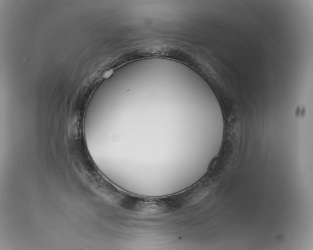 X0000112510597200908311334