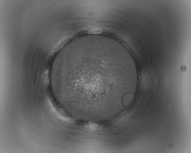 X0000112510598200908311334