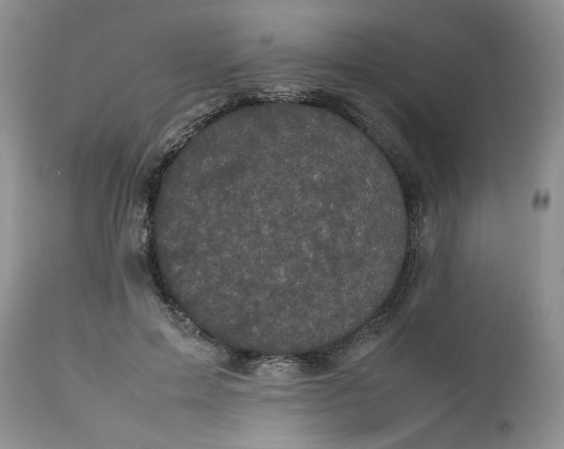 X0000112510599200908311334