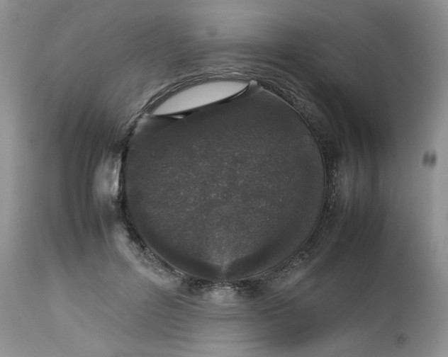 X0000112510600200908311334