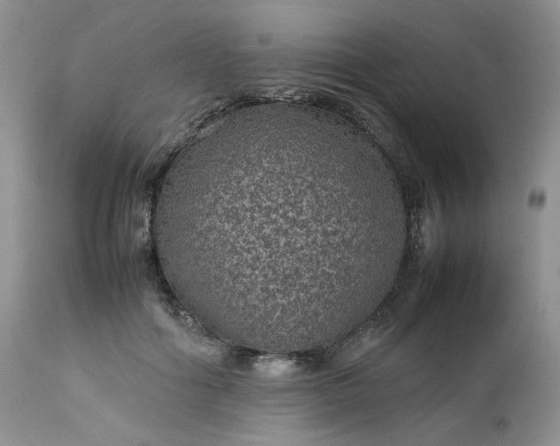 X0000112510602200908311334