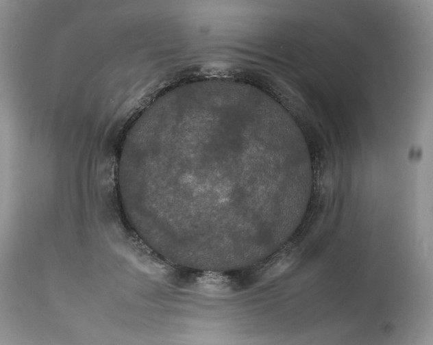 X0000112510603200908311334