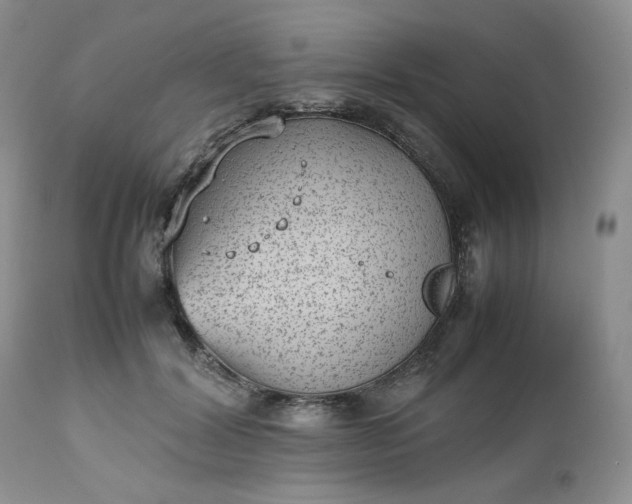 X0000112510604200908311334