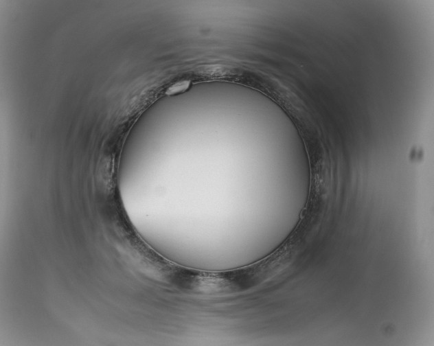 X0000112510605200908311334