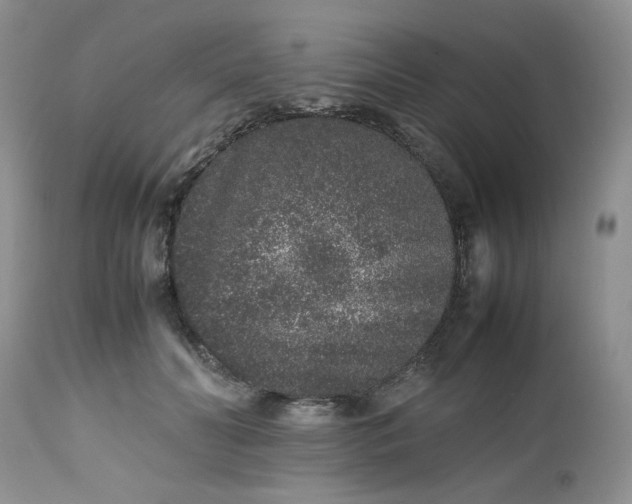 X0000112510606200908311334