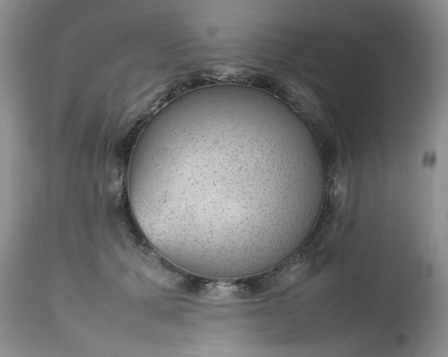 X0000112510607200908311334