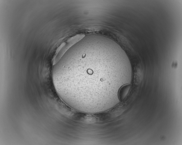 X0000112510608200908311334