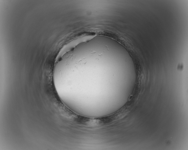 X0000112510609200908311334