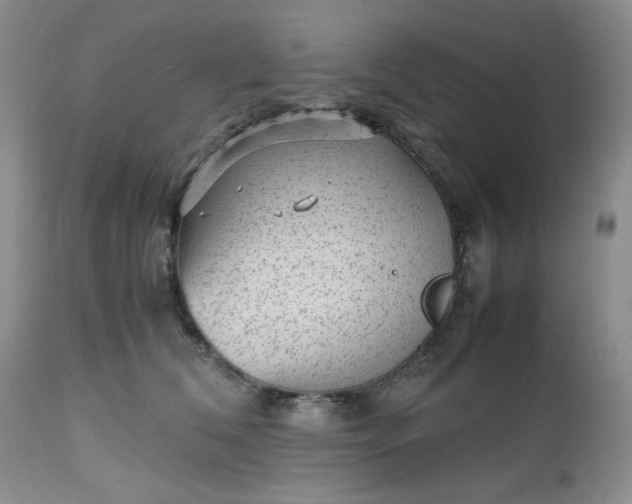 X0000112510612200908311334