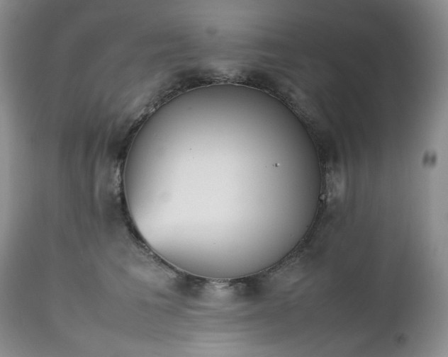 X0000112510613200908311334