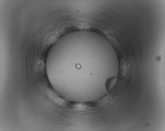 X0000112510614200908311334