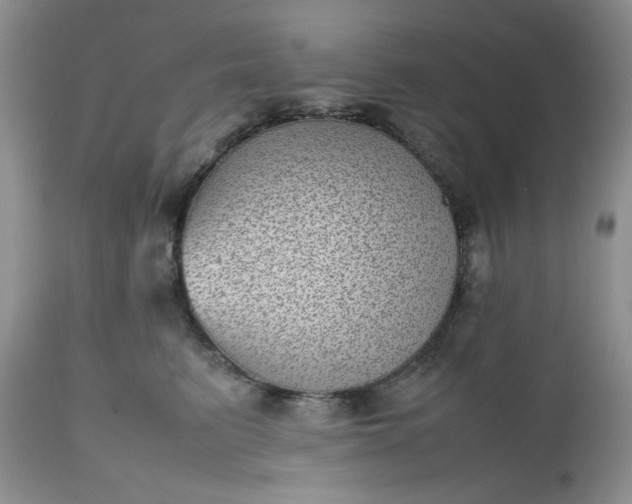 X0000112510615200908311334