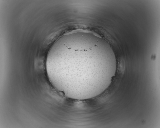 X0000112510616200908311334