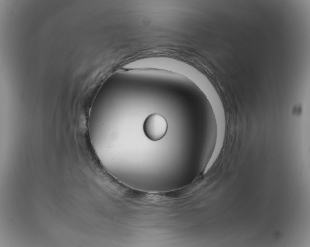 X0000112510617200908311334