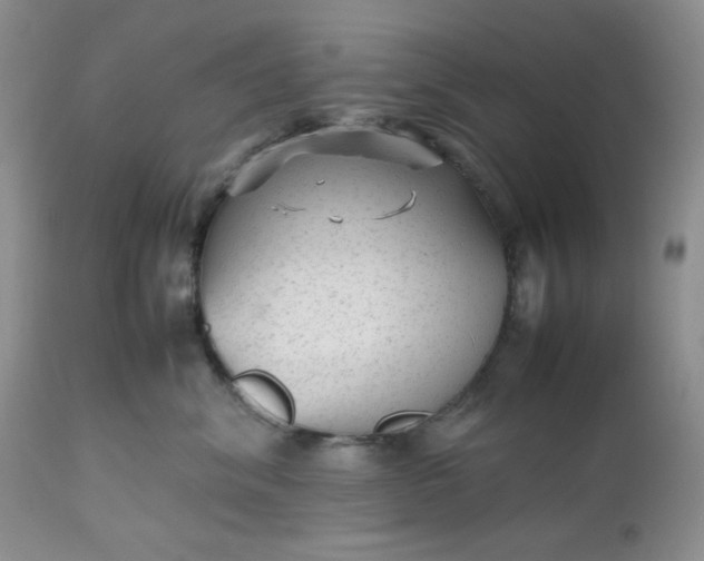 X0000112510620200908311334