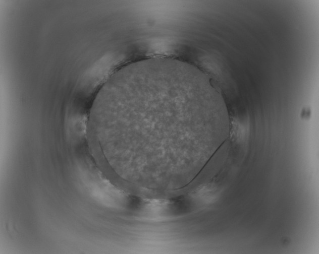 X0000112510621200908311334