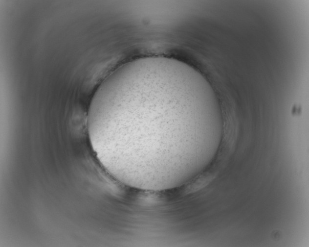 X0000112510624200908311334