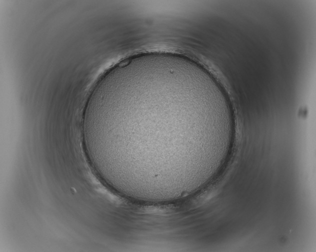 X0000112510625200908311333