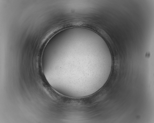 X0000112510626200908311333