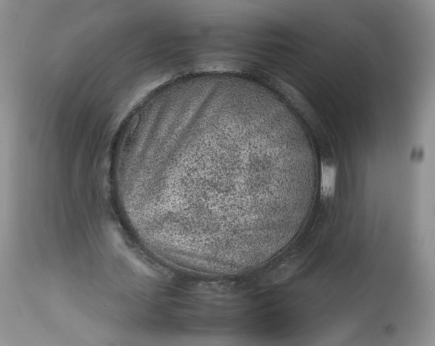 X0000112510627200908311333