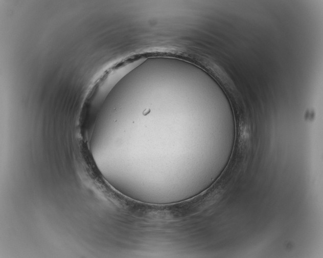 X0000112510628200908311333