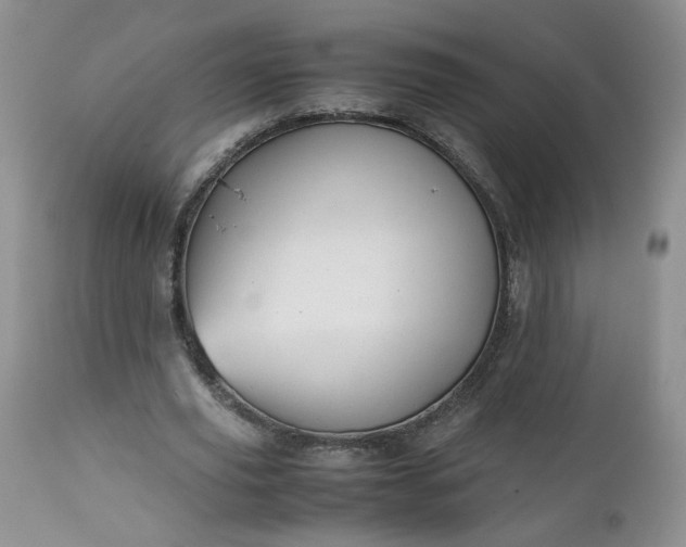 X0000112510629200908311333