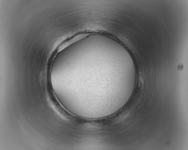 X0000112510630200908311333