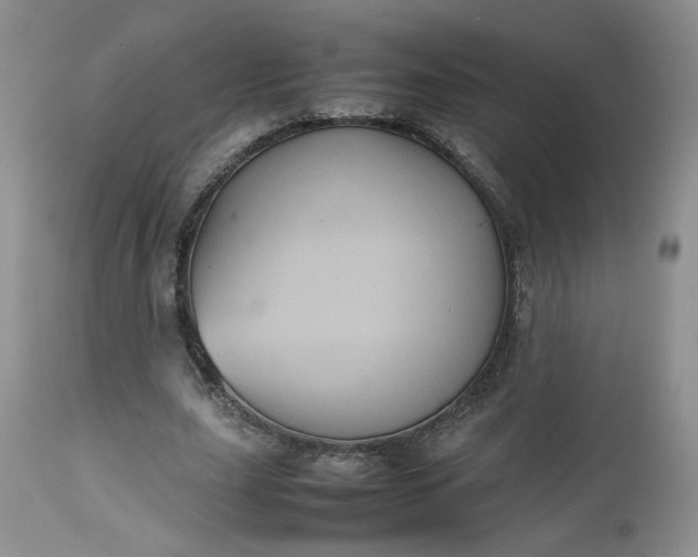 X0000112510631200908311333