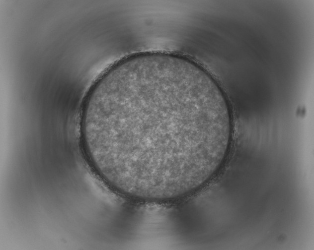 X0000112510632200908311333