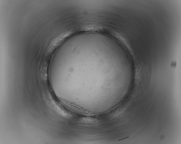 X0000112510633200908311333