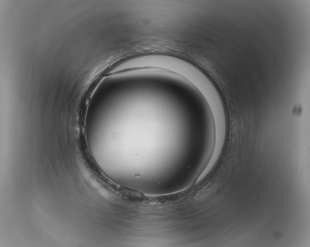 X0000112510634200908311333