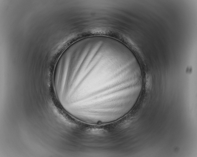 X0000112510637200908311333