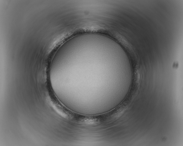 X0000112510638200908311333