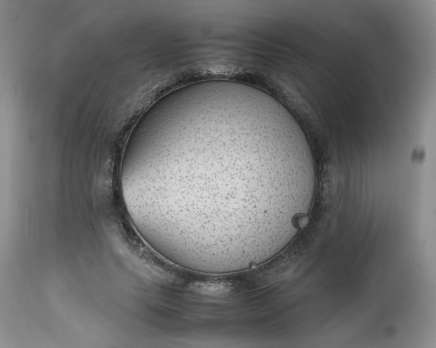 X0000112510639200908311333