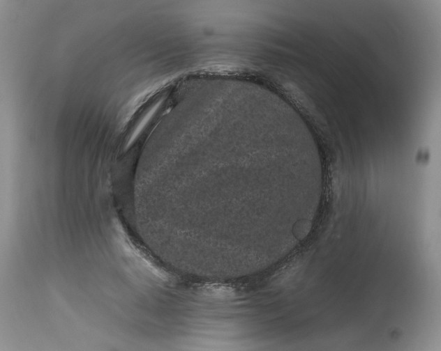 X0000112510640200908311333