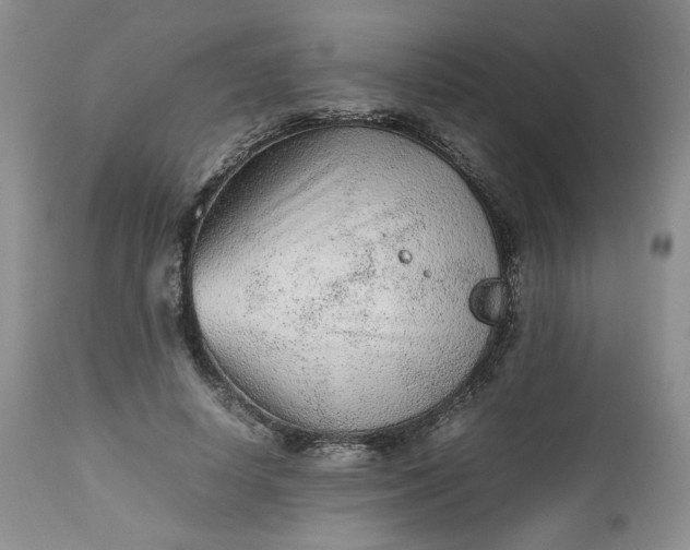 X0000112510642200908311333