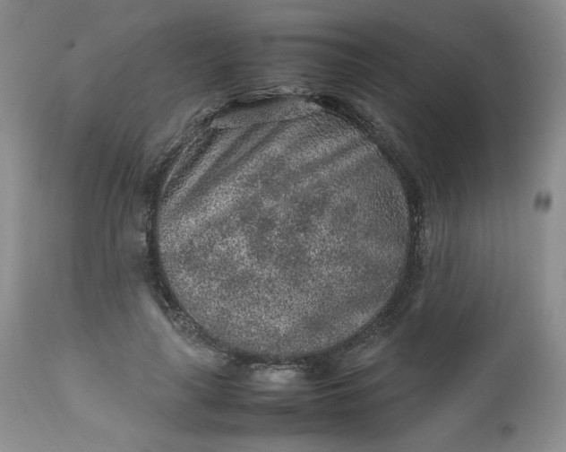 X0000112510643200908311333