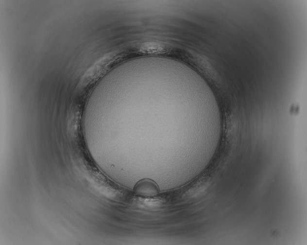 X0000112510645200908311333