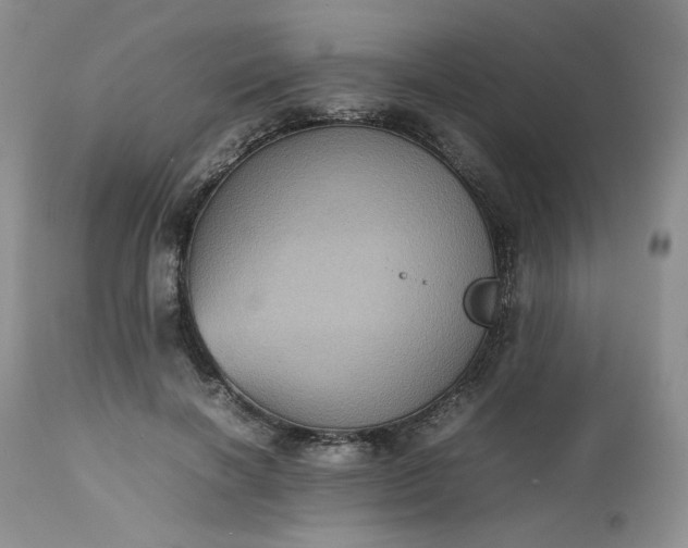 X0000112510646200908311333