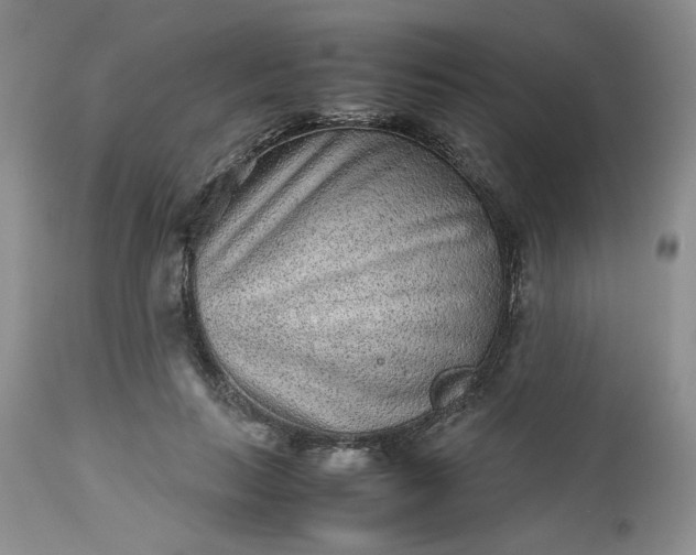 X0000112510647200908311333