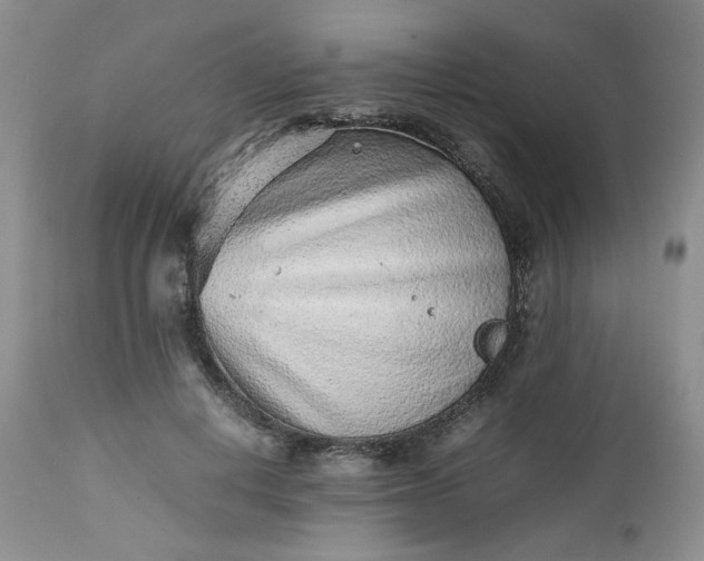 X0000112510648200908311333