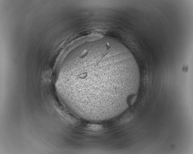 X0000112510649200908311333