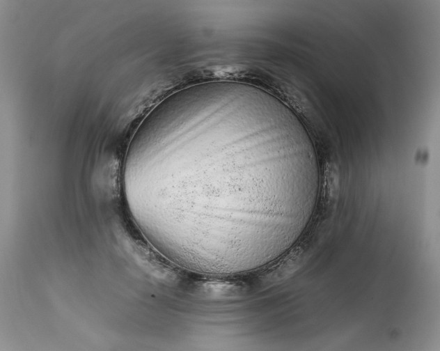 X0000112510650200908311333